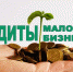 Беспроцентные займы до 250 млн рулей могут получить проекты моногородов - Газета Новая жизнь