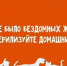 Чтобы не было бездомных животных - Газета Новая жизнь