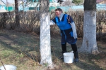 Самые первые