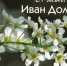 Иван Долгий. Приметы дня - Газета Новая жизнь
