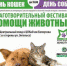 Фестиваль помощи животным - Газета Новая жизнь