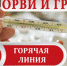 Внимание! «Горячая линия» по профилактике  гриппа и ОРВИ. - МО Одоевский район