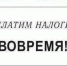 О последствиях несвоевременной уплаты налогов - Газета Новая жизнь