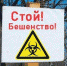 В поселке под Тулой ввели карантин по бешенству - Газета Новая жизнь
