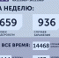 936 новых случаев заражений.... - Газета Новая жизнь