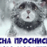 Погода в Одоеве 2 марта: зима не хочет уходить, снег с дождём - Газета Новая жизнь