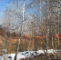 В Одоевском районе граждане намеренно поджигают траву - Газета Новая жизнь