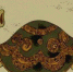 Сегодня Всемирный день черепахи - Газета Новая жизнь