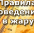 Одоевцы, будьте бдительны в жару - Газета Новая жизнь